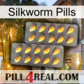 Silkworm Pills cialis2